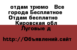 отдам трюмо - Все города Бесплатное » Отдам бесплатно   . Кировская обл.,Луговые д.